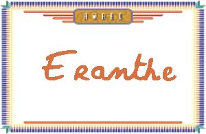 ErantheдӢ