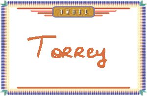 TorreyдӢ