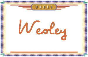 WesleyдӢ