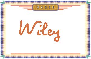 WileyдӢ